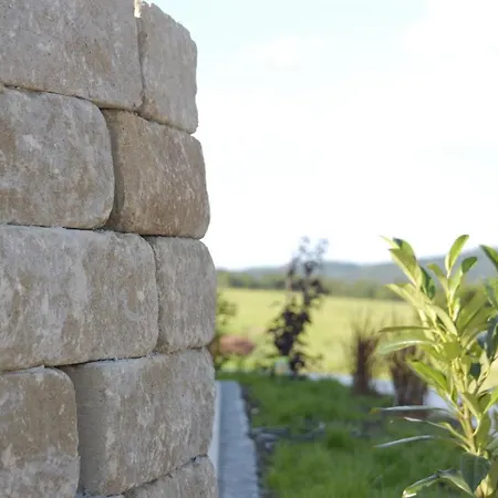 Blick Zum Rennsteig *