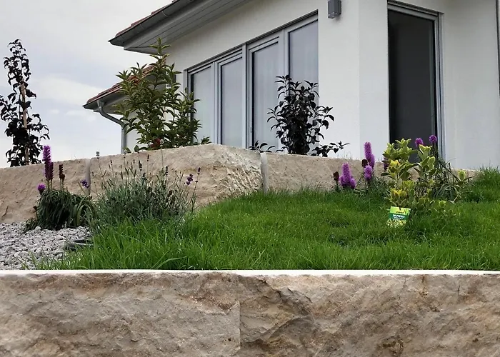 Blick Zum Rennsteig * Etterwinden